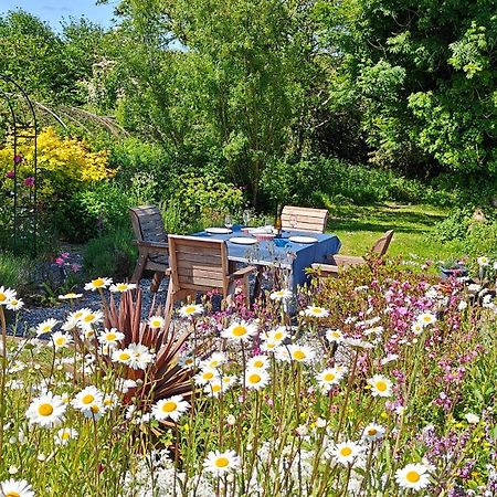 Darracott Farm Cottage Welcombe Екстериор снимка