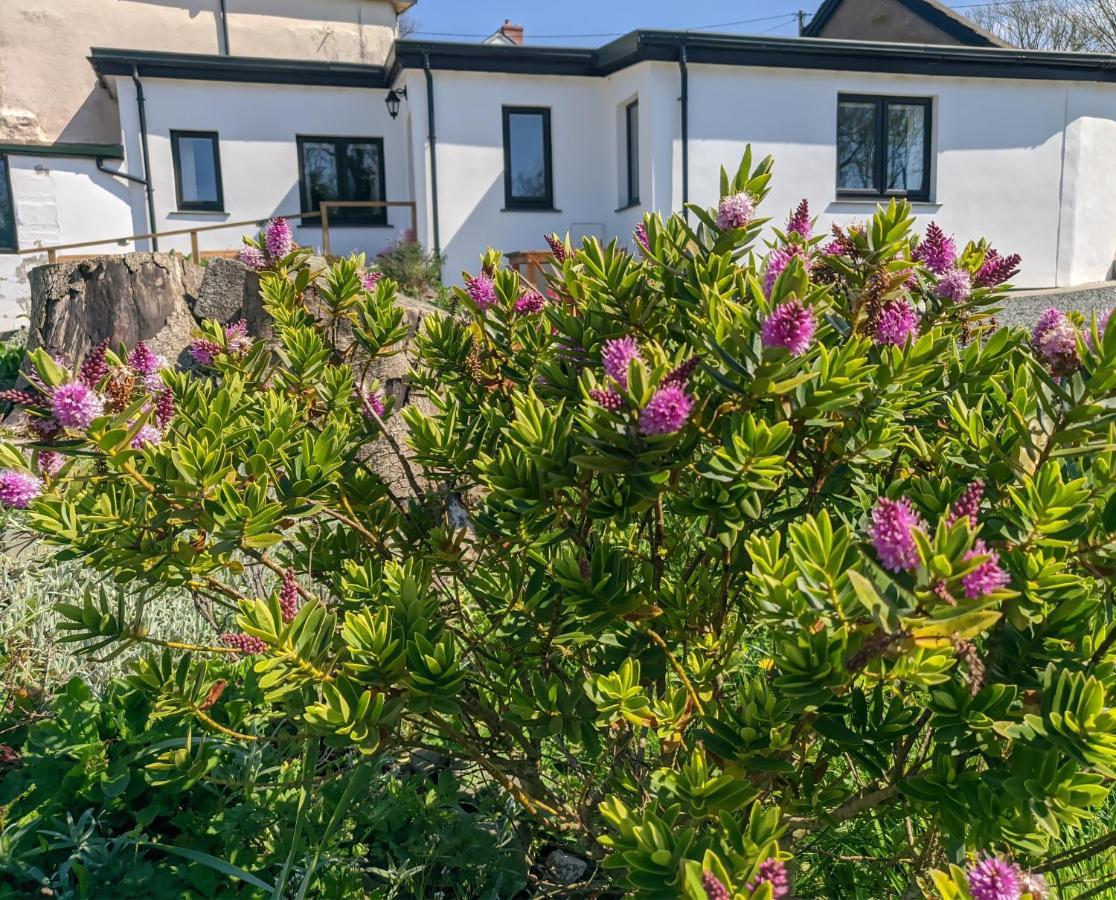 Darracott Farm Cottage Welcombe Екстериор снимка