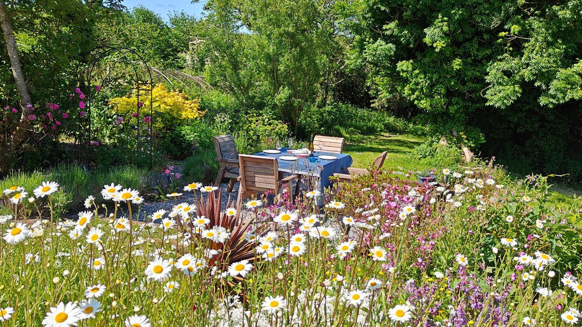 Darracott Farm Cottage Welcombe Екстериор снимка